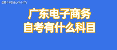 什么专业可以考电子商务