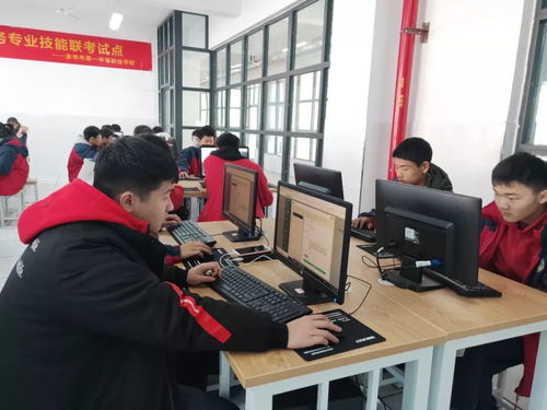 考公但是是电子商务专业