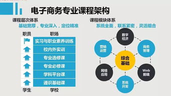 电子商务专业技术有哪些