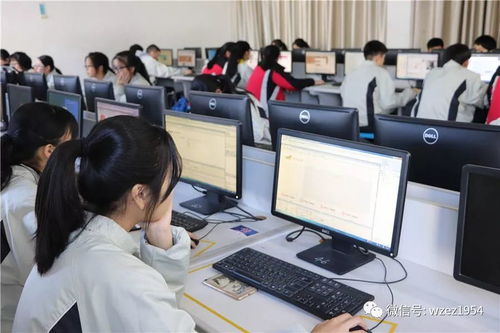 电子商务技术专业能干啥