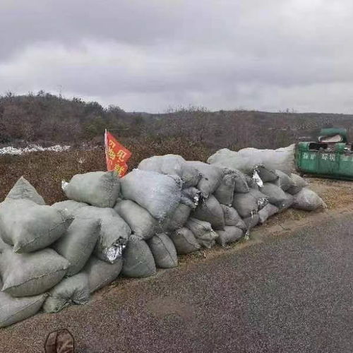 浙江一村40多户养了上百万条蛇，独特养殖模式引领乡村振兴