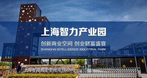 宝山区专业电子商务方案